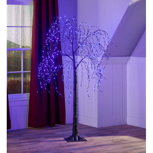 Primrue 6' Indoor/Outdoor Electric Lighted Artificial Weeping Willow
